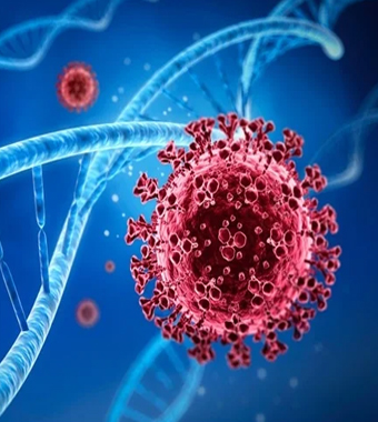Molecular Biology